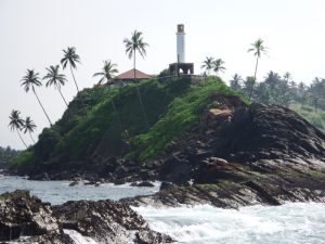 Avistamiento de ballenas Mirissa