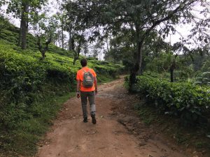 Trekking Little Adam's Peak