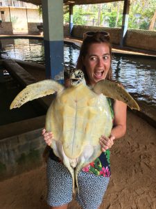 Tortuga gigante