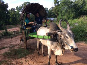 Vaca y carro Sigiriya
