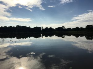 Reflejo lago Sigiriya