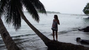 bocas del toro