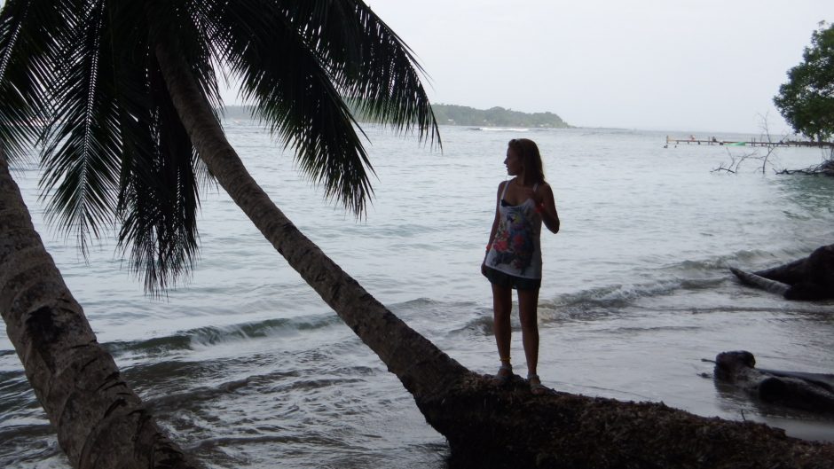 bocas del toro